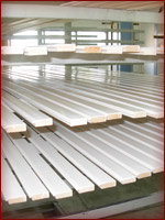 lajsna, ram, ramovi za sliku, uramljivanje slika, uramljivanje, pozlata